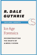 Ice Age Forensics