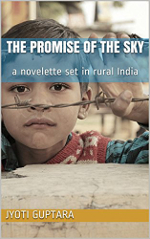 The Promise of the Sky book cover: a young Indian boy, looking through barbed wire.